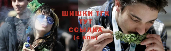 Альфа ПВП Белокуриха