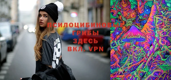 Альфа ПВП Белокуриха