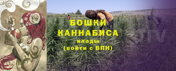 Альфа ПВП Белокуриха