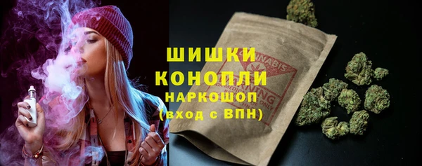 шишки Балабаново